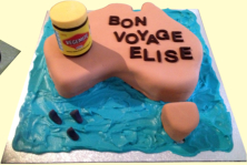 Australia Cake - Even the Vegemite Jar is cake, everything is edible.
